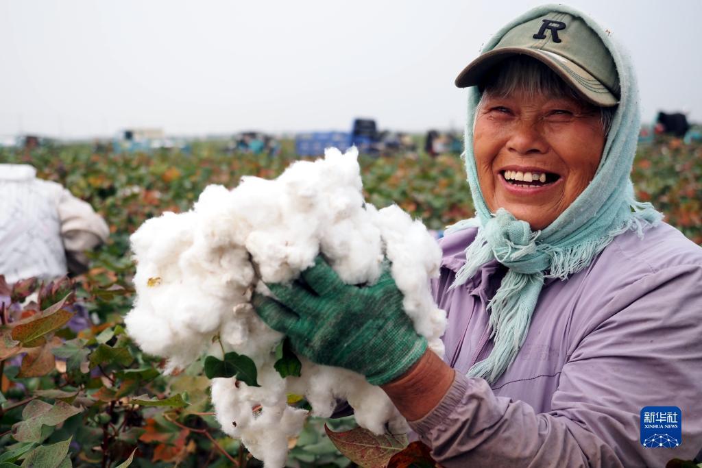 菠菜开户体验金